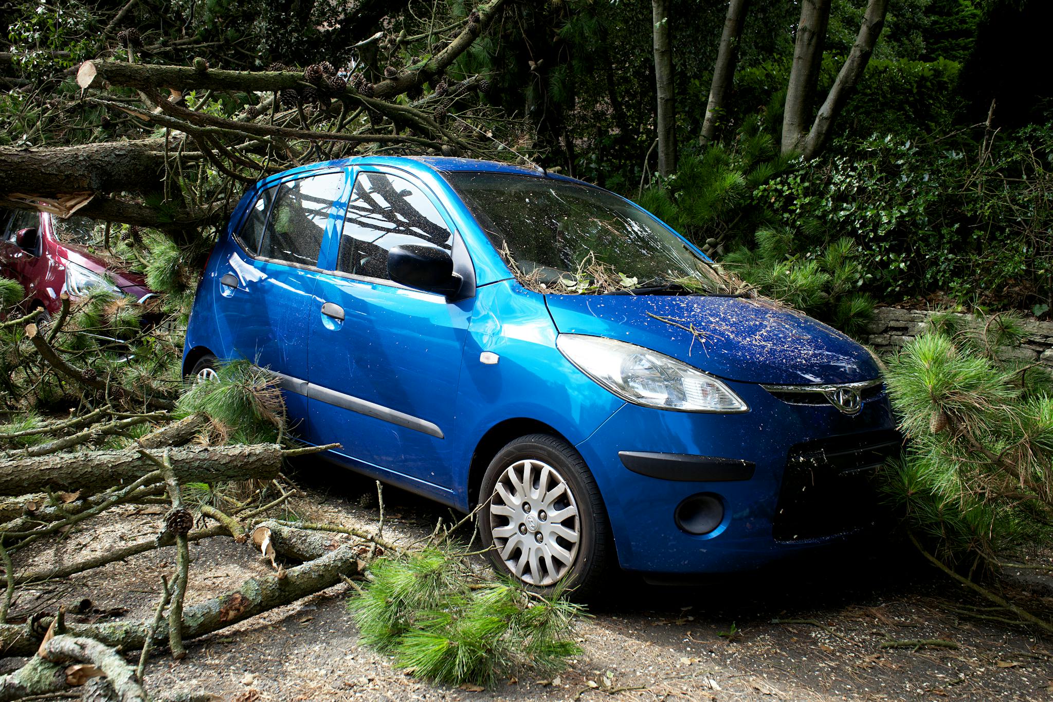 A blue car trapped under fallen trees in a post-storm scene in the UK.