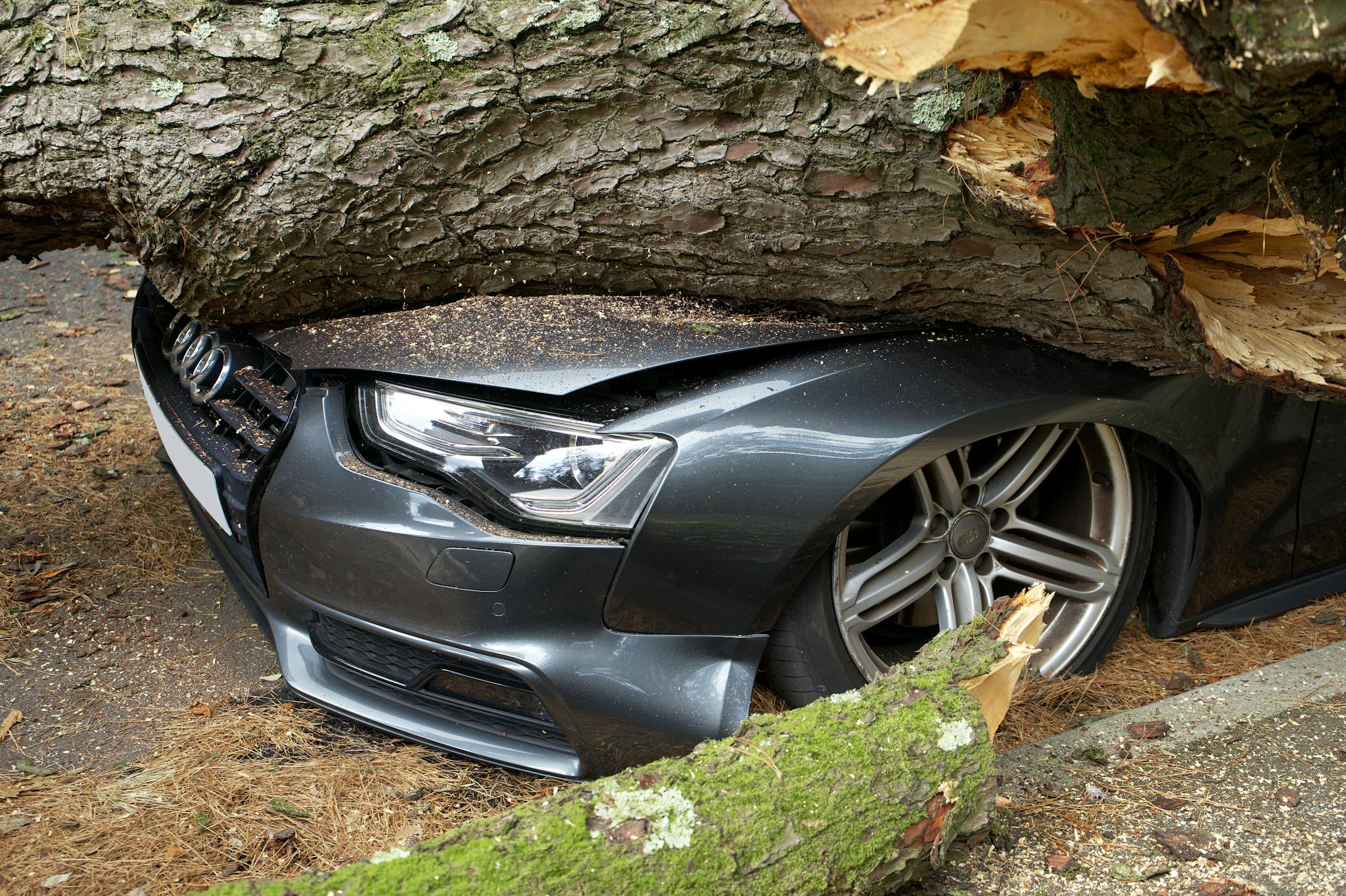 A vehicle damaged by a fallen tree after an accident in the United Kingdom.